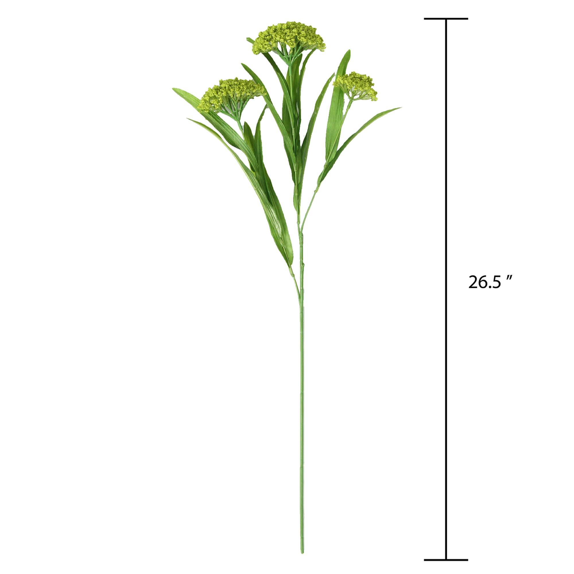 Green Queen Anne's Lace Stem by Ashland®